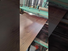 Printech Renkli kaplamalı bobin